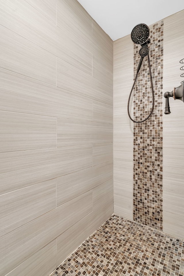 746 Old Stage Rd, Morris, IL 60450 - bathroom view of tiled shower