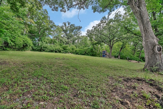 746 Old Stage Rd, Morris, IL 60450 - view of green lawn