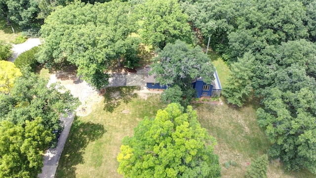 746 Old Stage Rd, Morris, IL 60450 - view of subject property featuring a forest