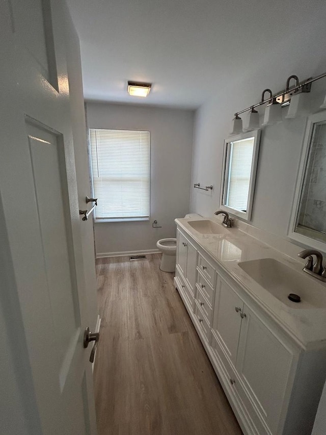 105 Golf View Cir, Prospect Heights, IL 60070 - bathroom featuring double vanity, plenty of natural light, and wood finished floors