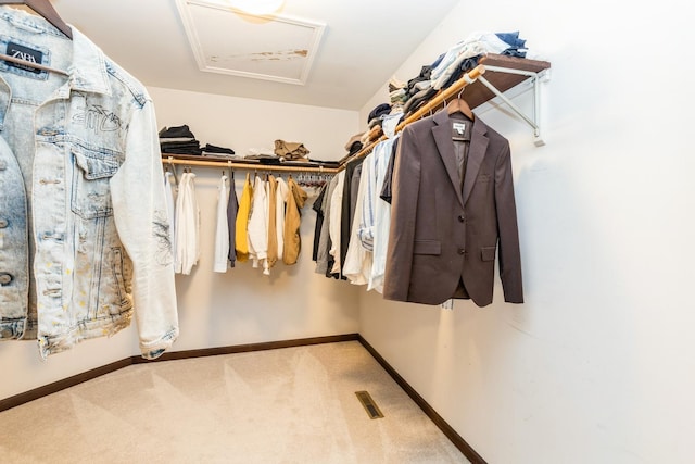 2809 Jenny Jae Ln, Crystal Lake, IL 60012 - walk in closet featuring attic access and carpet