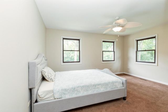 2809 Jenny Jae Ln, Crystal Lake, IL 60012 - bedroom featuring carpet flooring and a ceiling fan