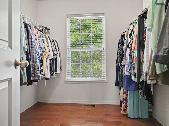 501 Blackstone Ct, Lake Villa, IL 60046 - spacious closet with wood finished floors