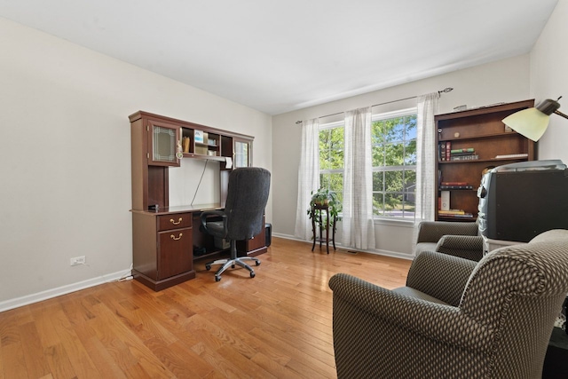 501 Blackstone Ct, Lake Villa, IL 60046 - office space with light wood-style flooring and baseboards