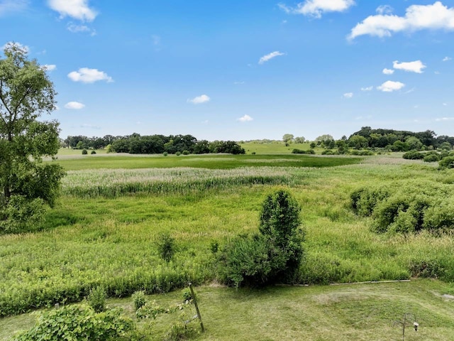 501 Blackstone Ct, Lake Villa, IL 60046 - view of local wilderness with rural landscape