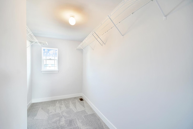 24465 S St Peters Dr, Channahon, IL 60410 - walk in closet with carpet