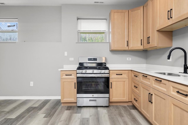 6139 S King Dr, Chicago, IL 60637 - kitchen featuring stainless steel gas range, light brown cabinets, and wood finished floors