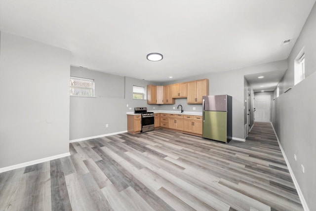 6139 S King Dr, Chicago, IL 60637 - kitchen featuring stainless steel appliances, light countertops, light wood finished floors, and light brown cabinets