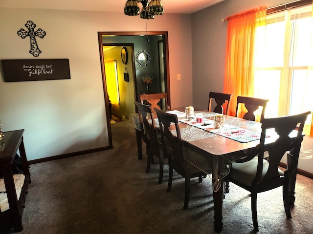1080 E Bluff St, Marseilles, IL 61341 - carpeted dining room with baseboards