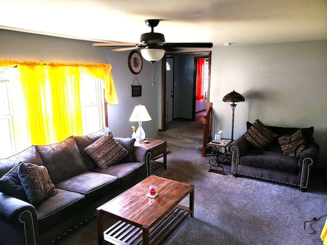 1080 E Bluff St, Marseilles, IL 61341 - carpeted living room with ceiling fan