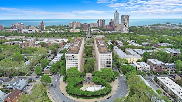 1450 E 55th Pl Unit 317S, Chicago, IL 60637 - view of urban area with a large body of water