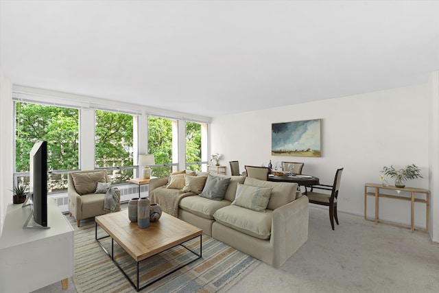 1450 E 55th Pl Unit 317S, Chicago, IL 60637 - living room with light carpet