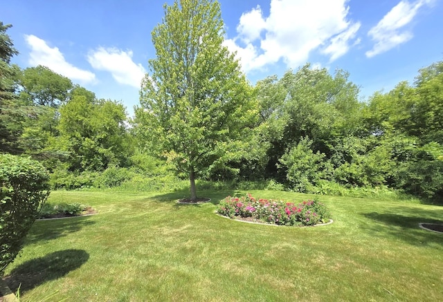 952 N Dexter Ln, Hoffman Estates, IL 60169 - photo 46