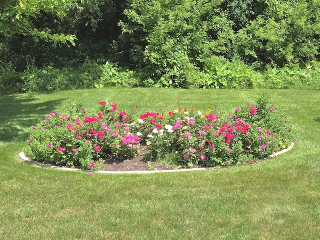 952 N Dexter Ln, Hoffman Estates, IL 60169 - photo 47