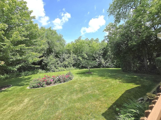 952 N Dexter Ln, Hoffman Estates, IL 60169 - photo 48