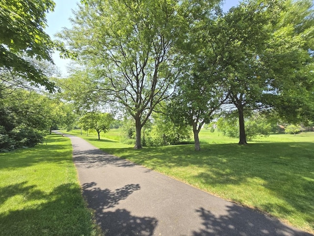 952 N Dexter Ln, Hoffman Estates, IL 60169 - photo 50