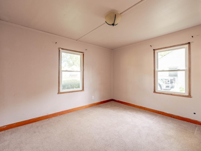 218 Chestnut St, Earlville, IL 60518 - spare room with light carpet and crown molding