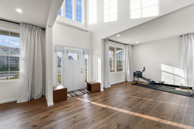940 Treeline Dr, Algonquin, IL 60102 - foyer entrance featuring hardwood / wood-style flooring, plenty of natural light, a high ceiling, and recessed lighting