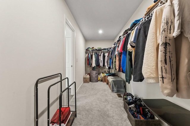 940 Treeline Dr, Algonquin, IL 60102 - spacious closet with carpet floors