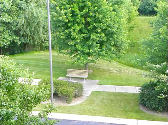 801 N Mclean Blvd Unit 342, Elgin, IL 60123 - photo 4