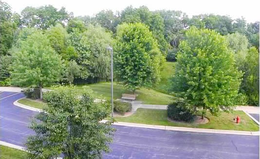801 N Mclean Blvd Unit 342, Elgin, IL 60123 - photo 5