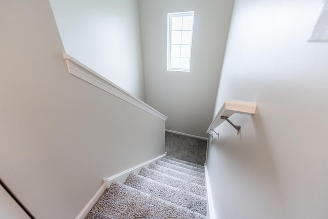 2551 Bella Dr, Pingree Grove, IL 60140 - stairway featuring carpet flooring and baseboards