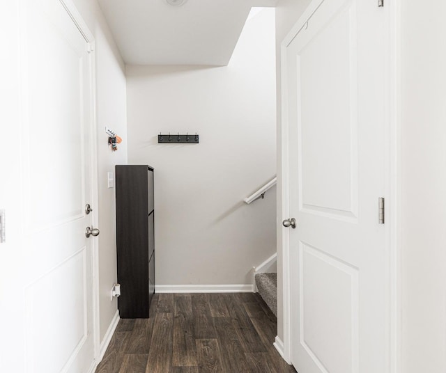 2551 Bella Dr, Pingree Grove, IL 60140 - hallway featuring dark wood-style floors and baseboards