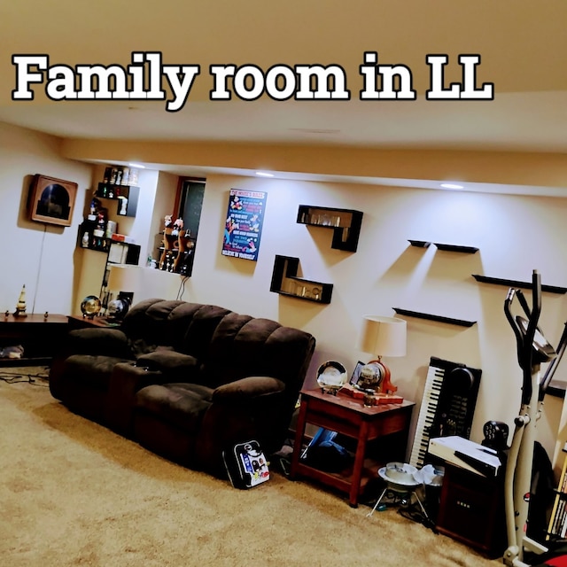100 Prince Ct, Poplar Grove, IL 61065 - living area featuring carpet floors