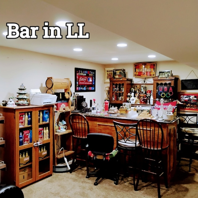 100 Prince Ct, Poplar Grove, IL 61065 - indoor dry bar with carpet floors and recessed lighting