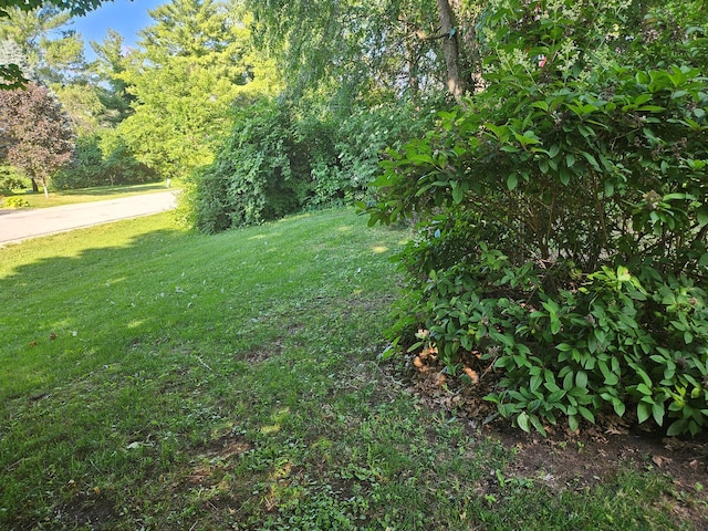 100 Prince Ct, Poplar Grove, IL 61065 - view of grassy yard