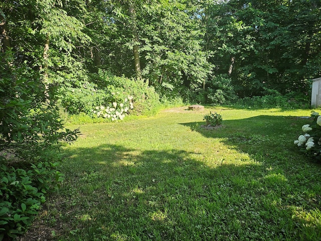 100 Prince Ct, Poplar Grove, IL 61065 - view of grassy yard