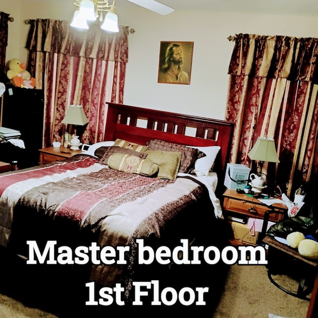 100 Prince Ct, Poplar Grove, IL 61065 - bedroom featuring a ceiling fan