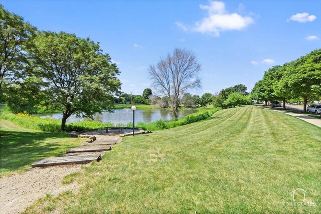 991 Symphony Dr, Aurora, IL 60504 - photo 30