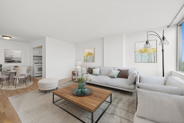 7234 W N Ave Unit 1610, Elmwood Park, IL 60707 - living room featuring light wood-type flooring