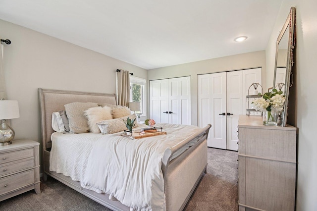 2720 Hobson Rd, Woodridge, IL 60517 - bedroom featuring carpet floors and multiple closets