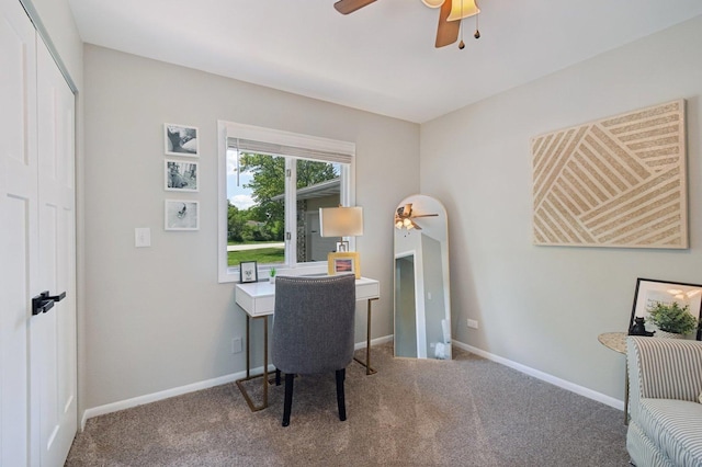 2720 Hobson Rd, Woodridge, IL 60517 - office with a ceiling fan and carpet floors