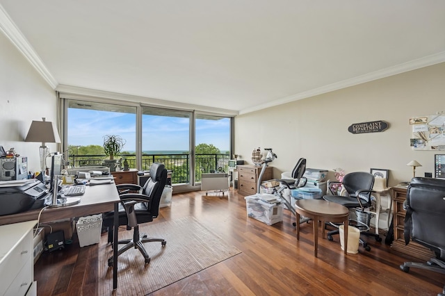 3470 N Lake Shore Dr Unit 9Bc, Chicago, IL 60657 - office area featuring crown molding, expansive windows, and wood finished floors