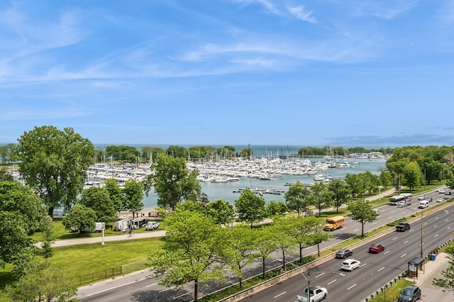3470 N Lake Shore Dr Unit 9Bc, Chicago, IL 60657 - water view with numerous boat docks