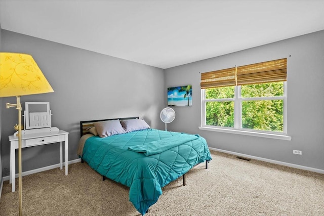 33 Sarah Dr, Crystal Lake, IL 60014 - bedroom featuring carpet and baseboards