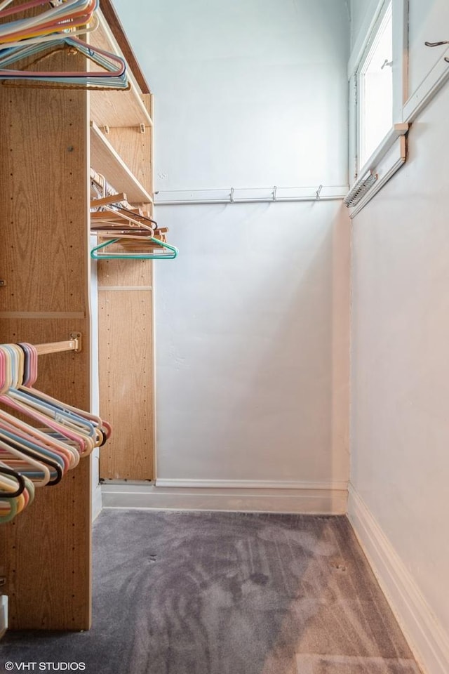 6919 N Overhill Ave, Chicago, IL 60631 - walk in closet with carpet