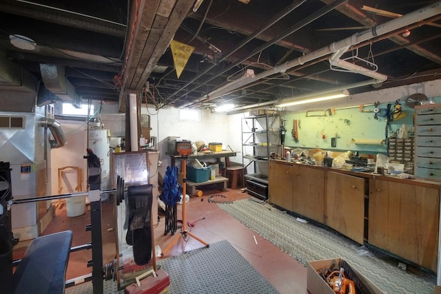 23761 N Cottage Rd, Lake Zurich, IL 60047 - basement featuring gas water heater and a workshop area