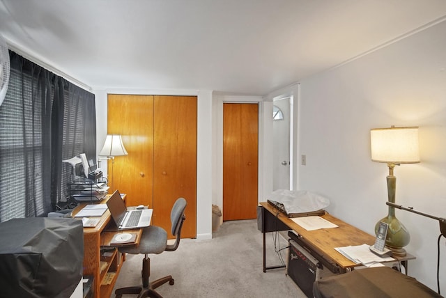 23761 N Cottage Rd, Lake Zurich, IL 60047 - home office featuring light carpet and baseboards
