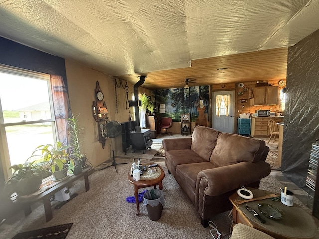 3971 E Rock Grove Rd, Orangeville, IL 61060 - photo 40