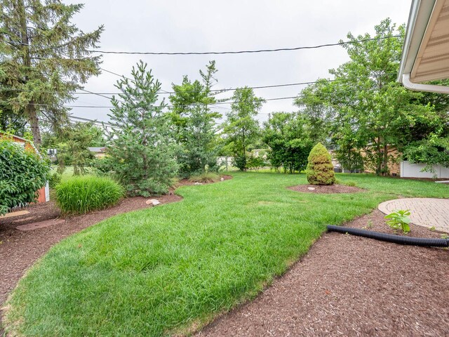 454 E Park Ave, Elmhurst, IL 60126 - photo 16