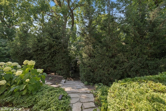 1806 Princeton Ct, Lake Forest, IL 60045 - view of yard