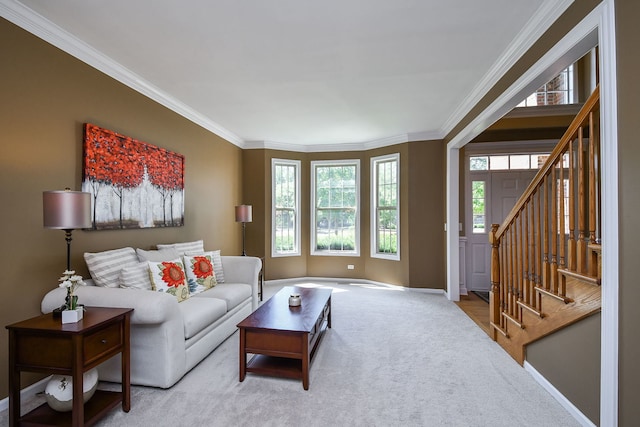 520 Meadowwood Ln, Oswego, IL 60543 - carpeted living area with crown molding, healthy amount of natural light, and stairway