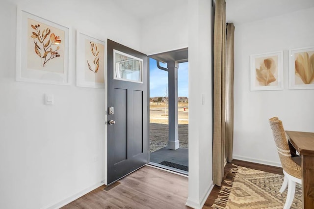 283 Charlestowne Lakes Dr, Saint Charles, IL 60174 - foyer entrance featuring wood finished floors and baseboards