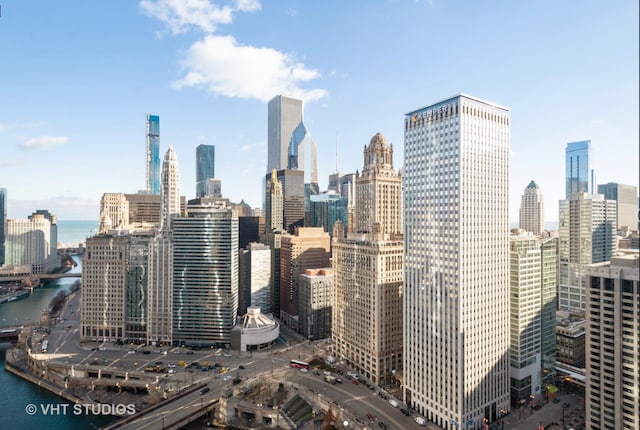 300 N State St Unit 3808, Chicago, IL 60654 - skyline view with a nearby body of water