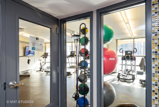 300 N State St Unit 3808, Chicago, IL 60654 - gym with a wall of windows
