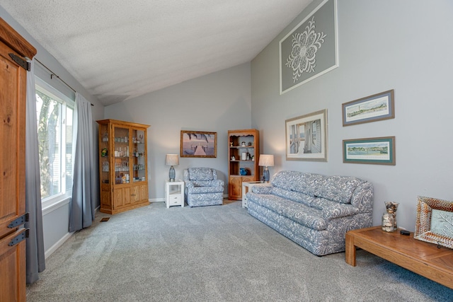 1380 Windjammer Ln, Hanover Park, IL 60133 - living area featuring lofted ceiling and carpet